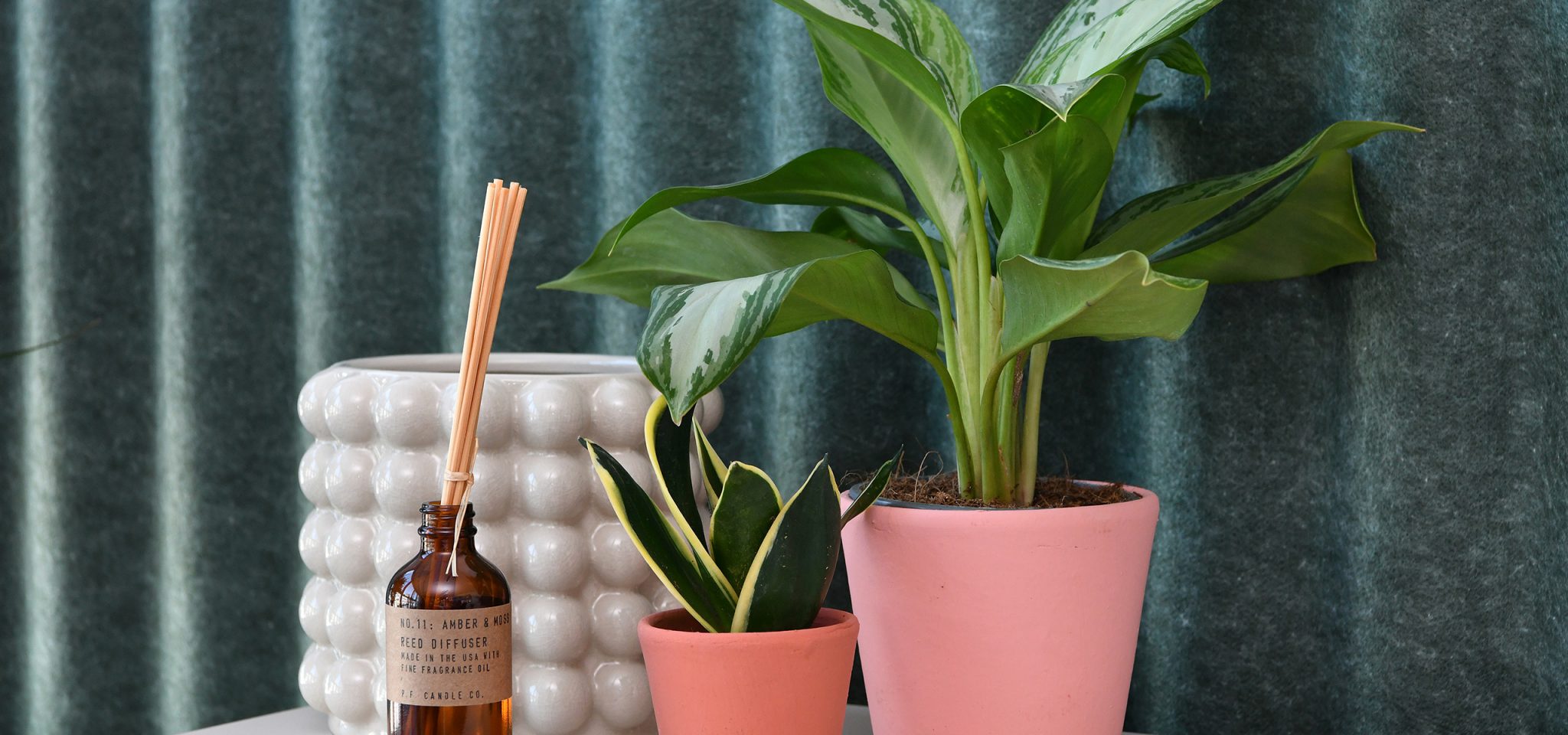 Decorative plants and items at The Southside Building offices to let in Birmingham.