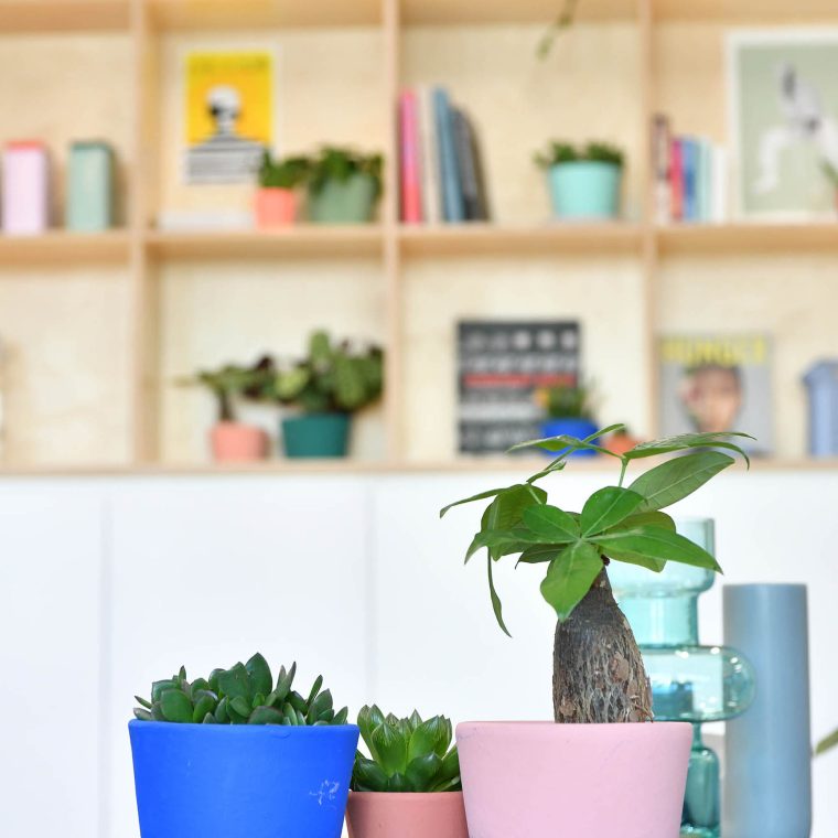 Plants in colourful pots at The Southside Building offices to let in Birmingham.